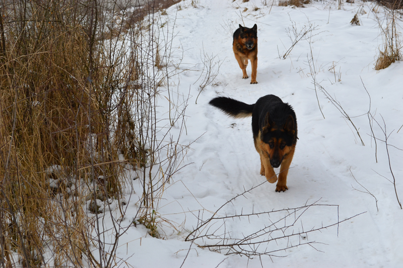 DSC_01901.jpg