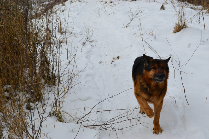 DSC_01911.jpg