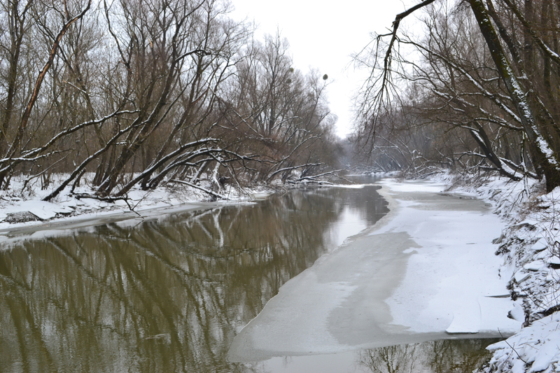 DSC_0207.jpg