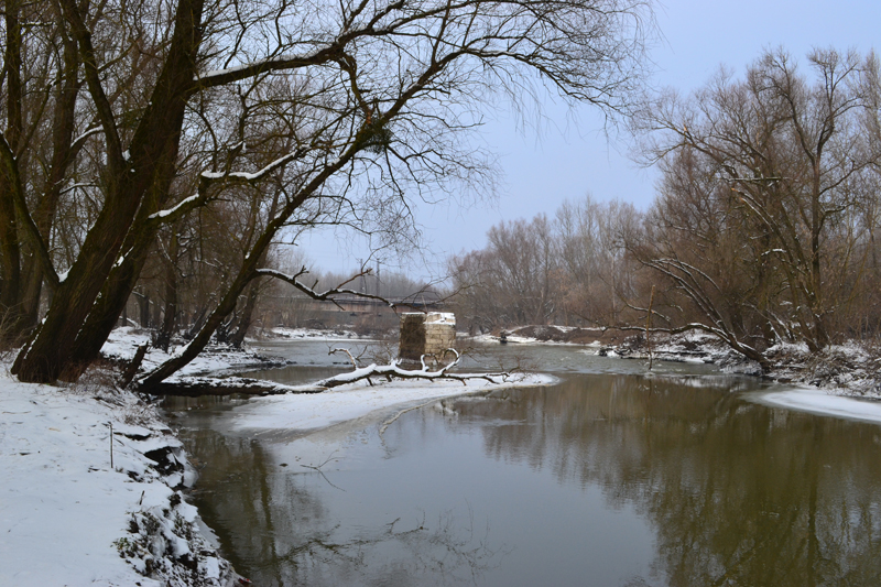DSC_0211.jpg