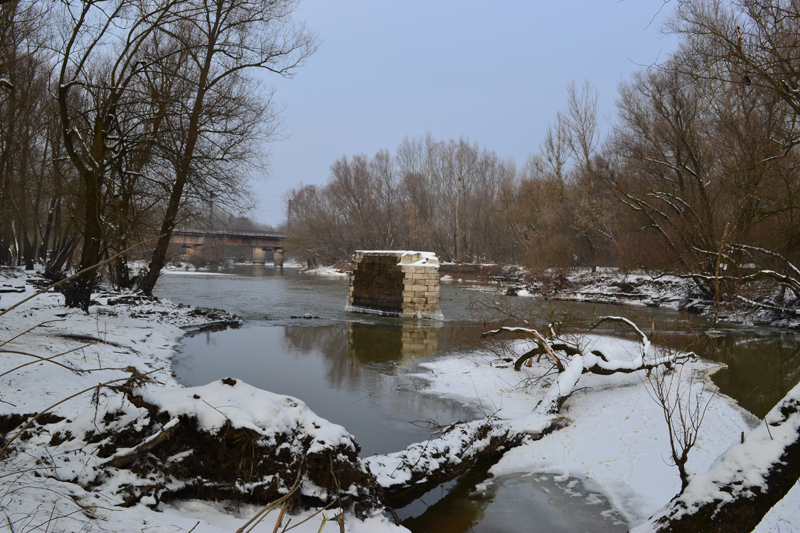 DSC_0213.jpg