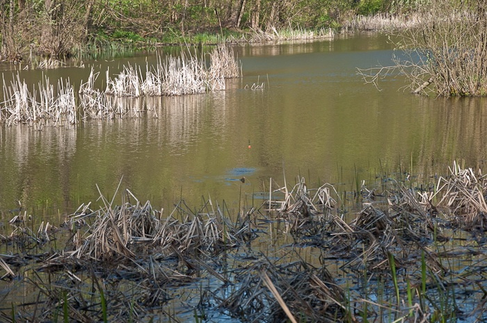 DSC_0218.jpg