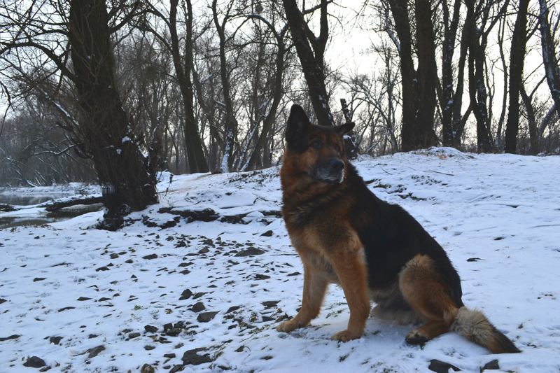DSC_02471.jpg