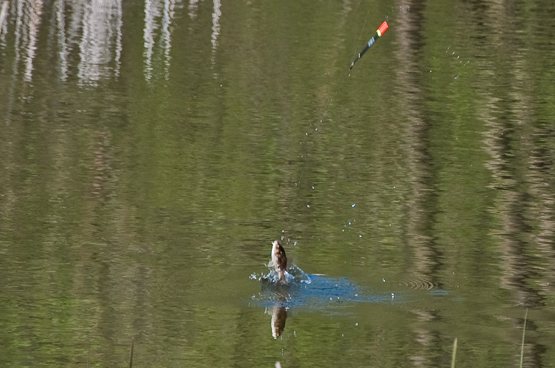 DSC_0290.jpg