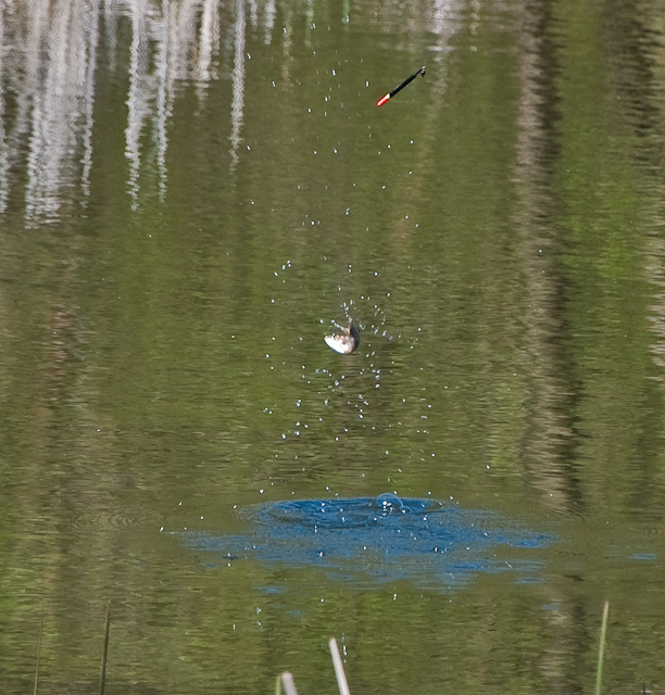 DSC_0291.jpg