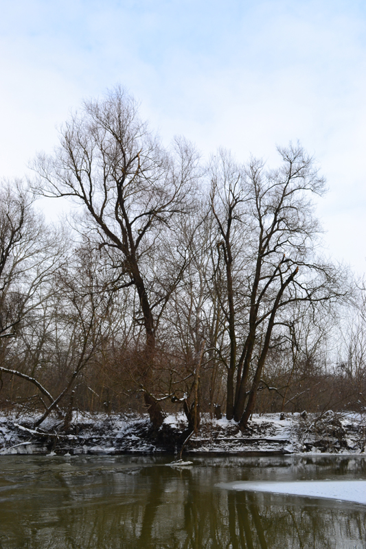 DSC_0301.jpg