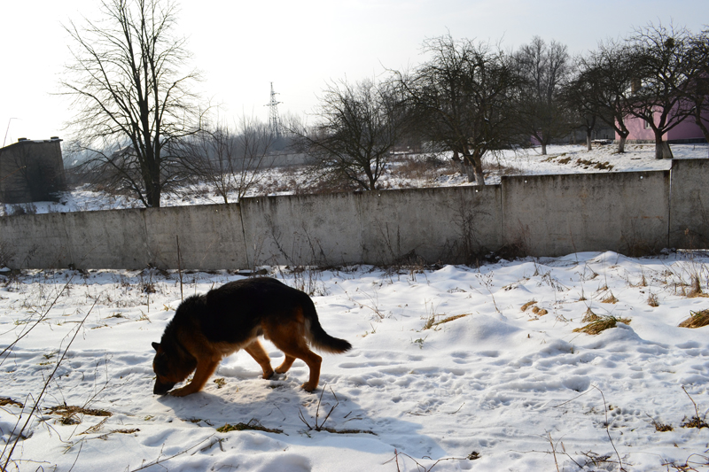 DSC_0318.jpg
