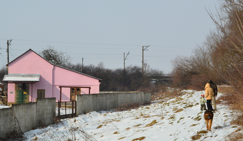 DSC_03211.jpg