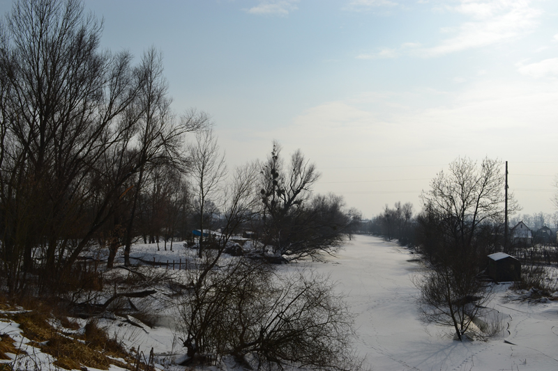 DSC_03221.jpg