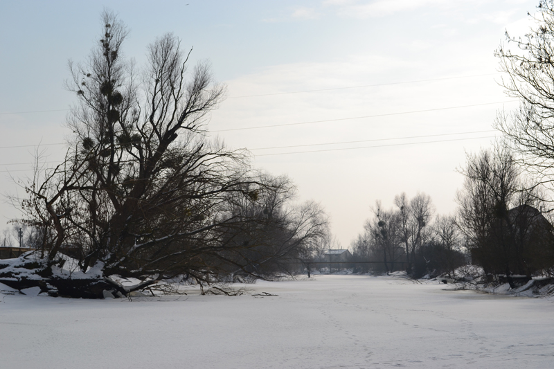 DSC_03261.jpg