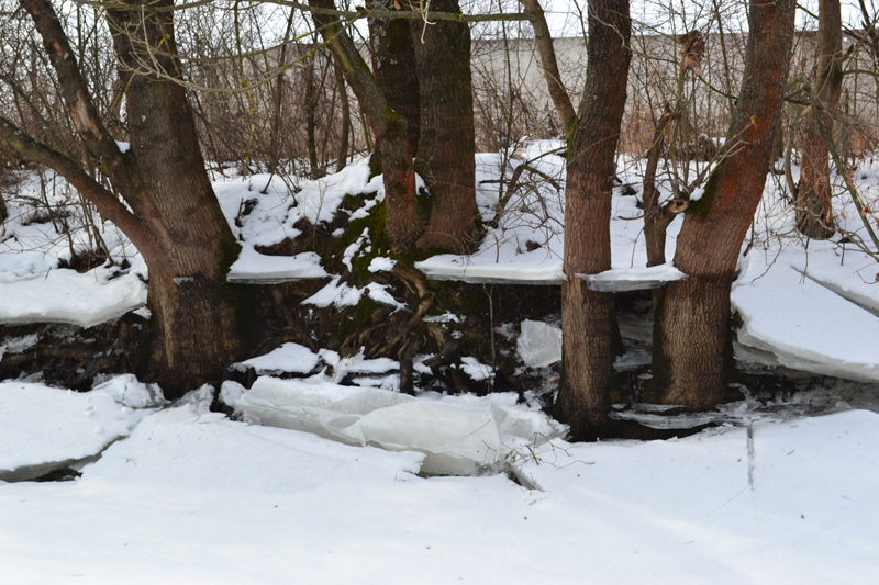 DSC_0334.jpg
