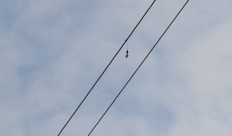 DSC_0343.jpg