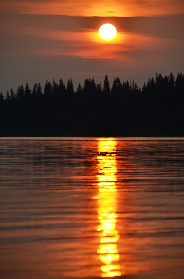 DSC_6431.JPG