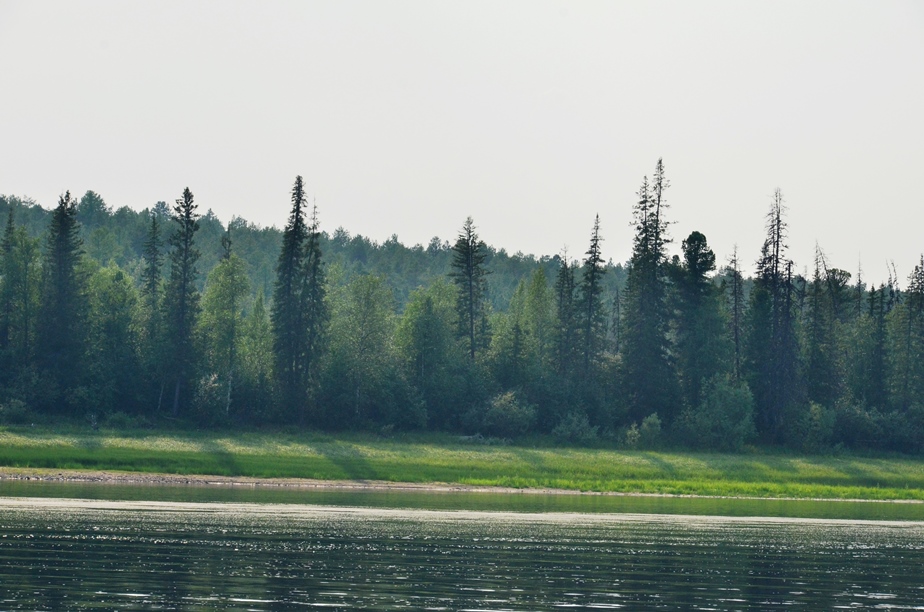 DSC_6526.JPG