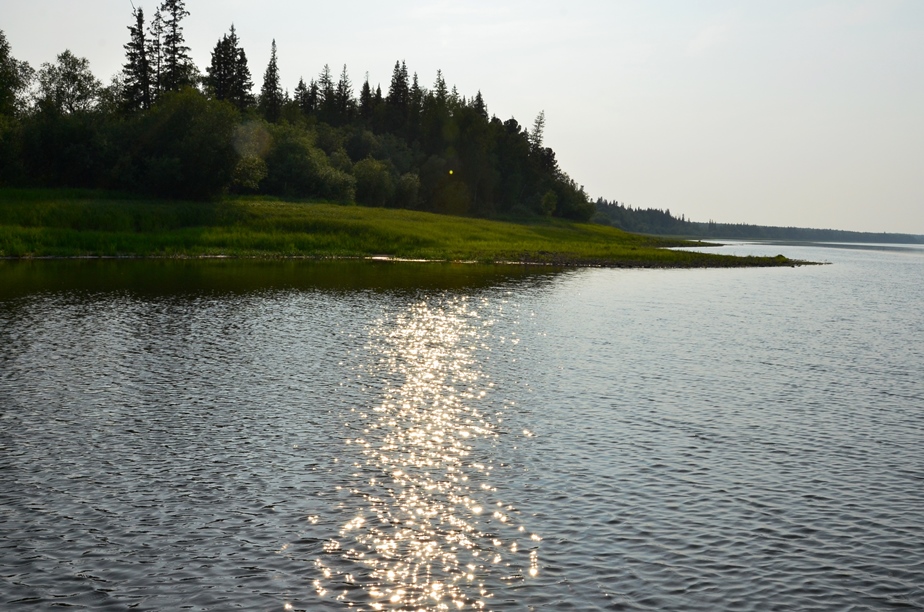 DSC_6528.JPG