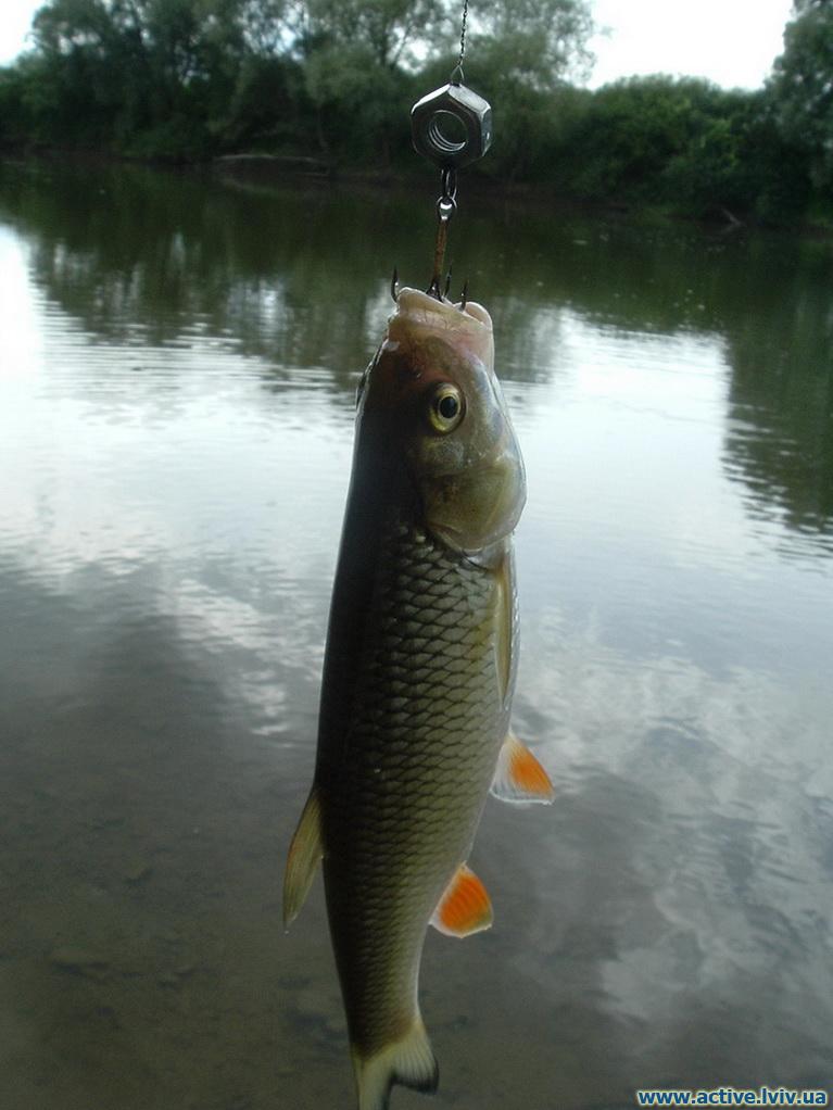 DSCF4301.jpg