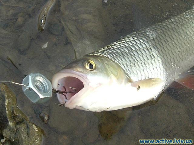 DSCF4304.jpg