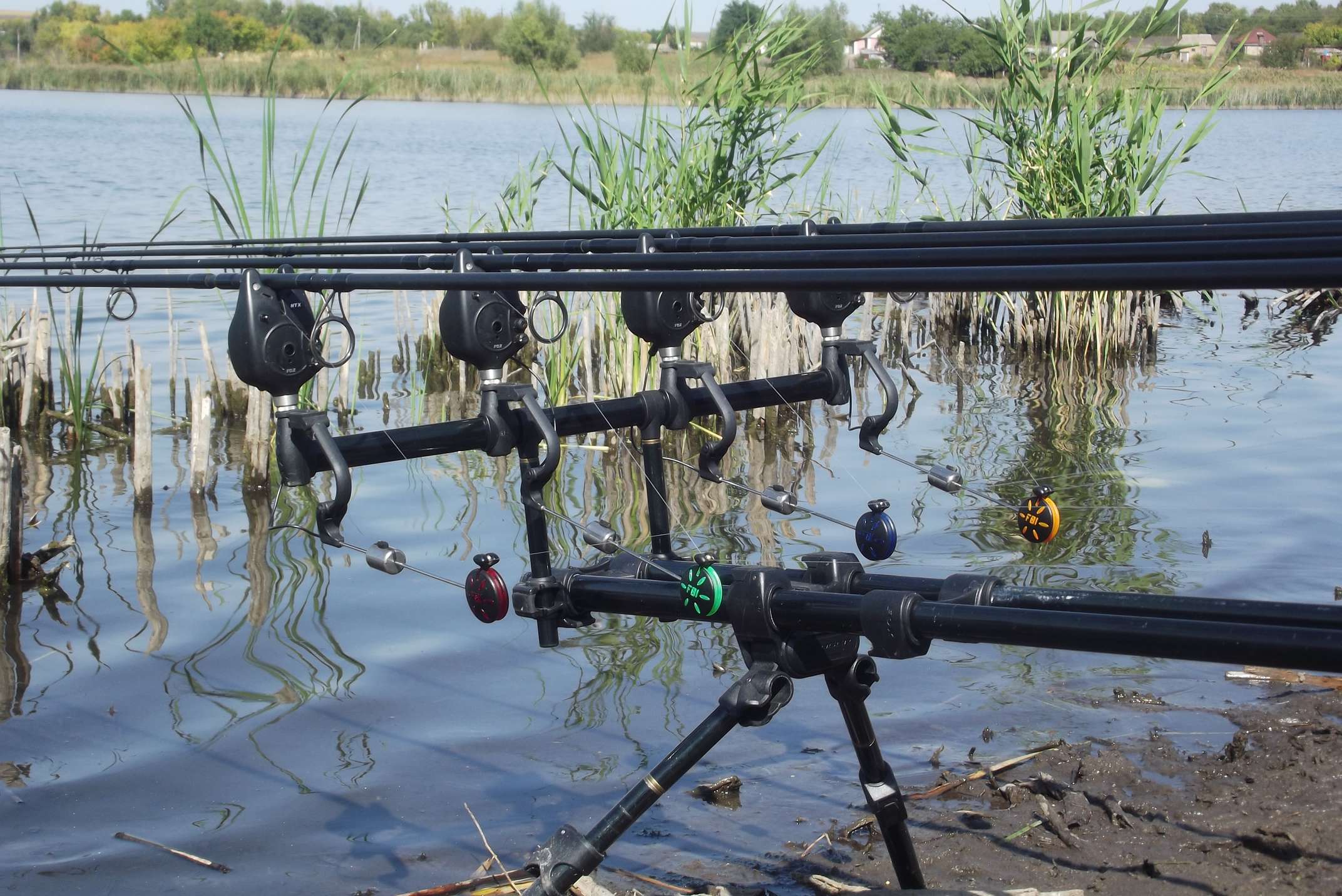DSCF5386_thumb.jpg