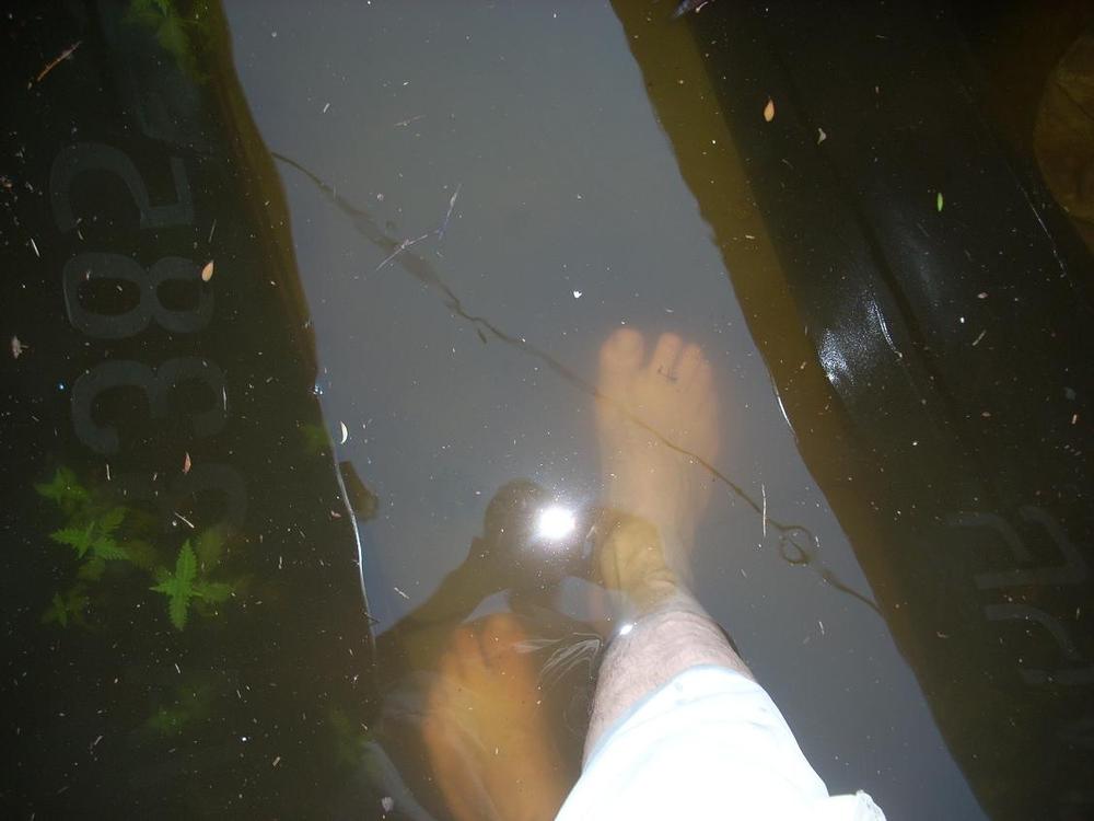 DSCN2509.jpg