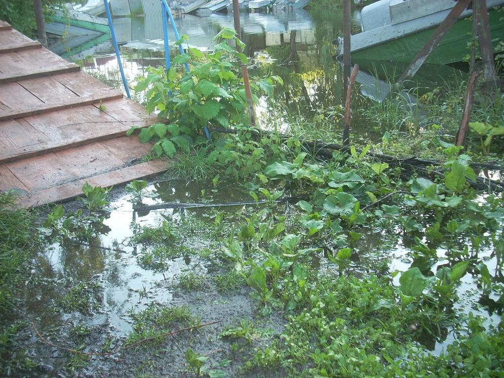 DSCN2512.jpg