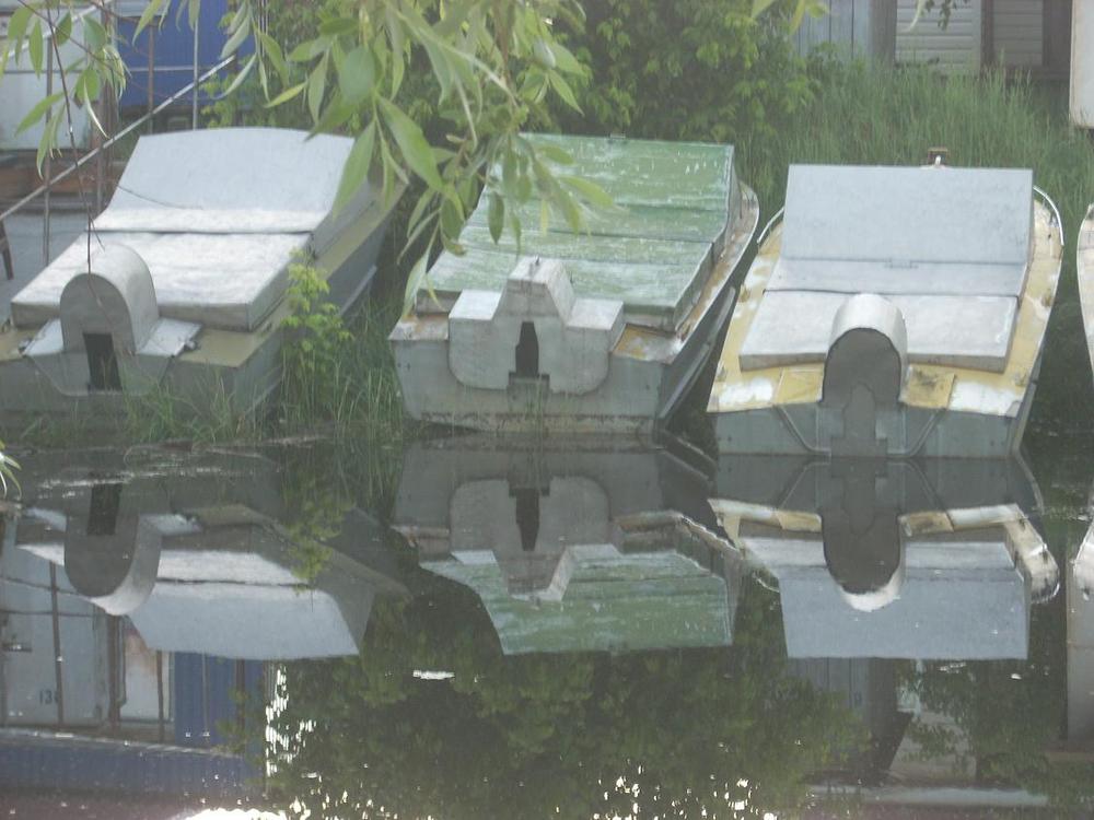 DSCN2516.jpg