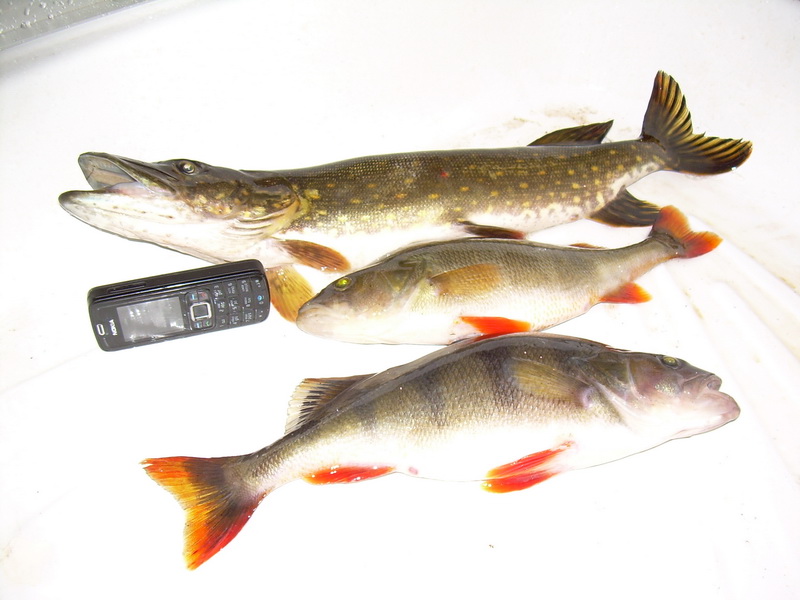 DSCN3467.JPG