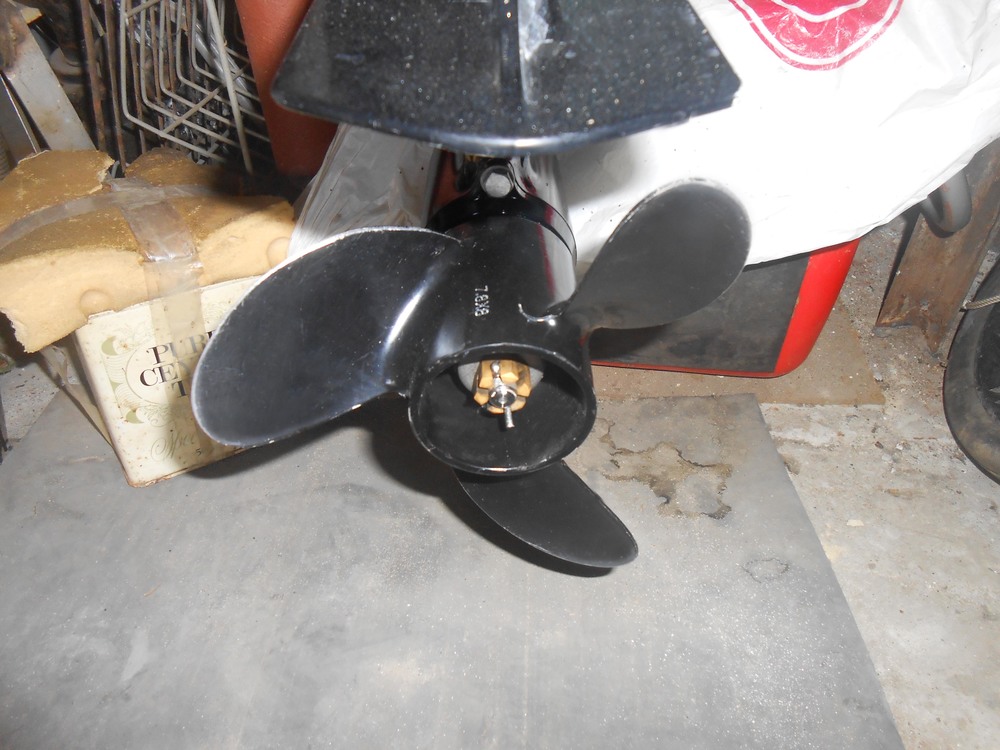 DSCN3609+.jpg