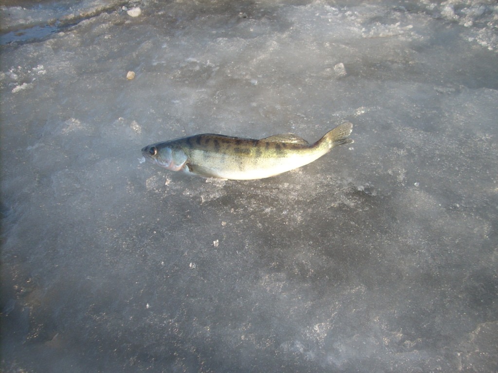 DSCN3783.JPG