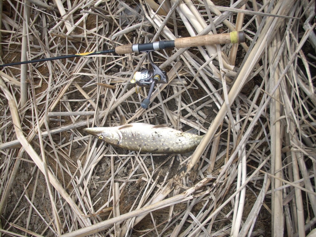 DSCN3793.JPG