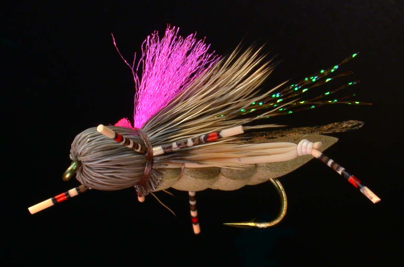 DSCN4214.jpg