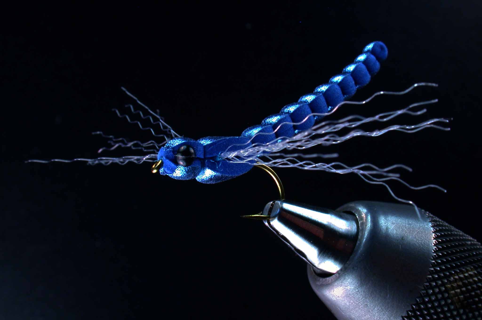 DSCN4380.jpg