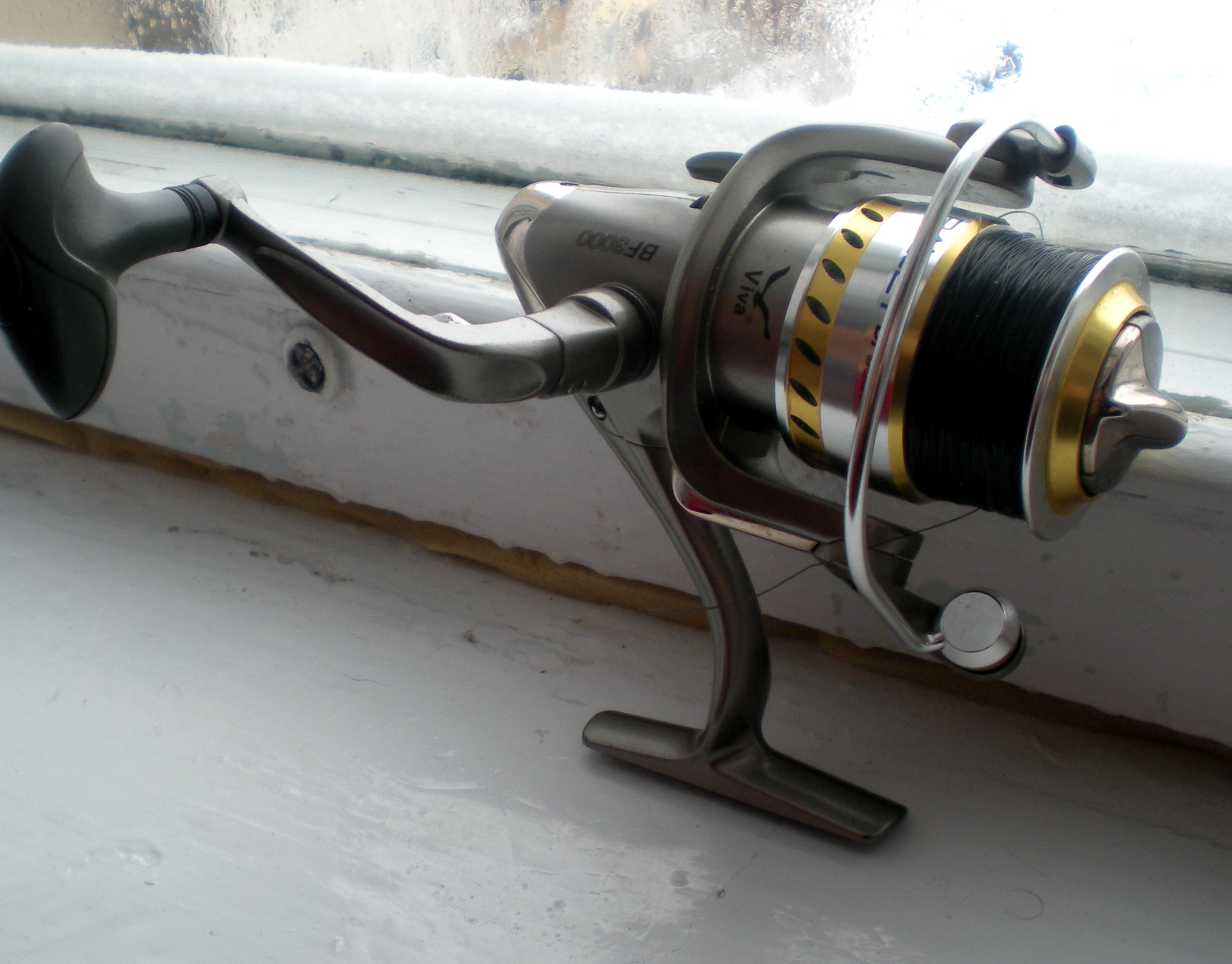 DSCN6553.jpg