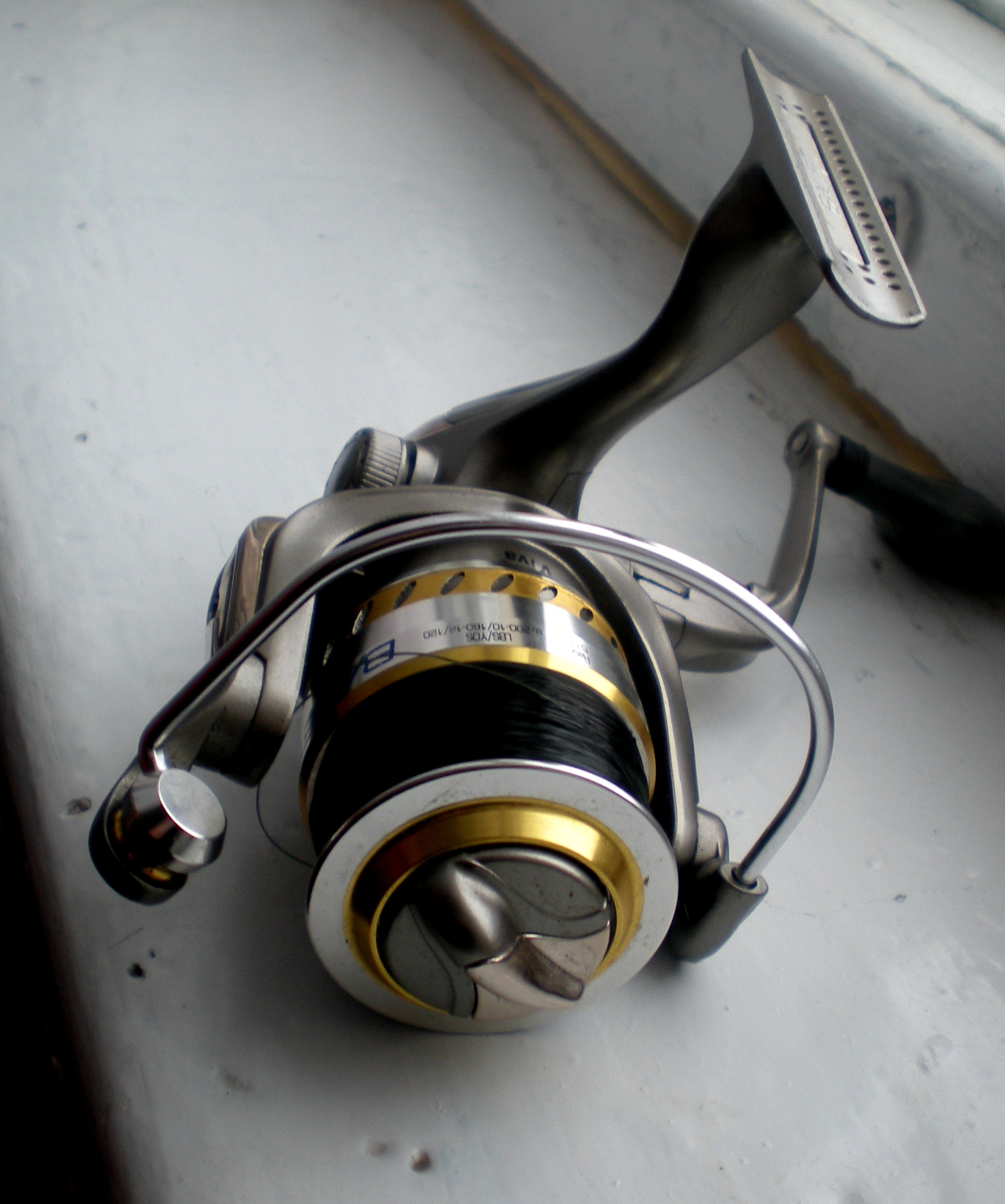 DSCN6556.jpg