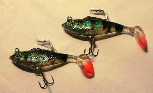fish_568.jpg