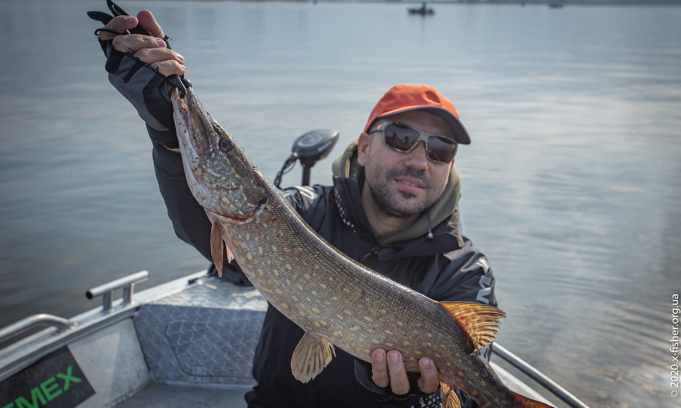 fishup-ushad-4.jpg