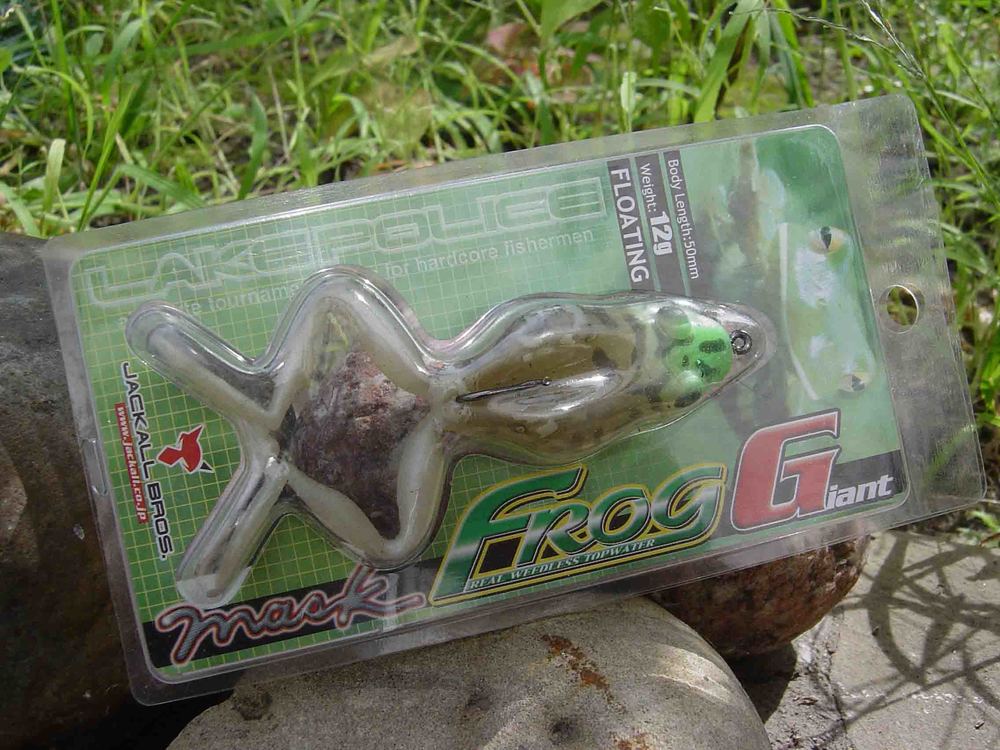 Frog.jpg