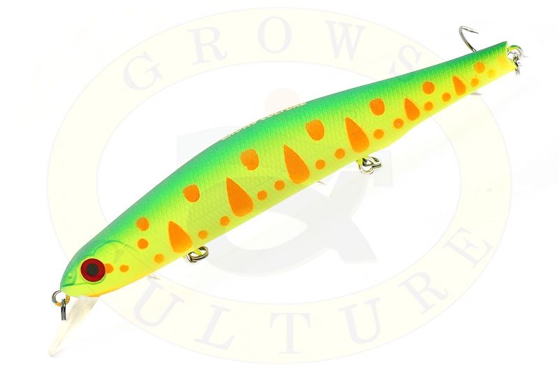 Grows-Culture-Orbit-110-313R_enl.jpg