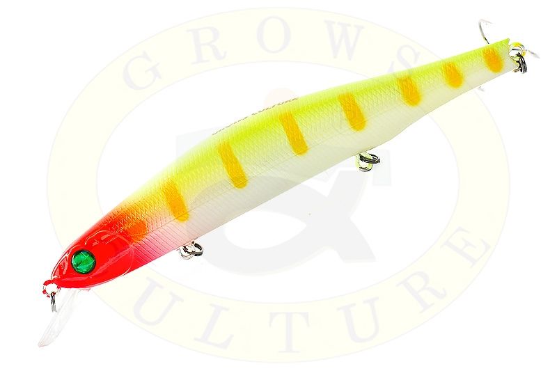 Grows-Culture-Orbit-110-338R_enl.jpg