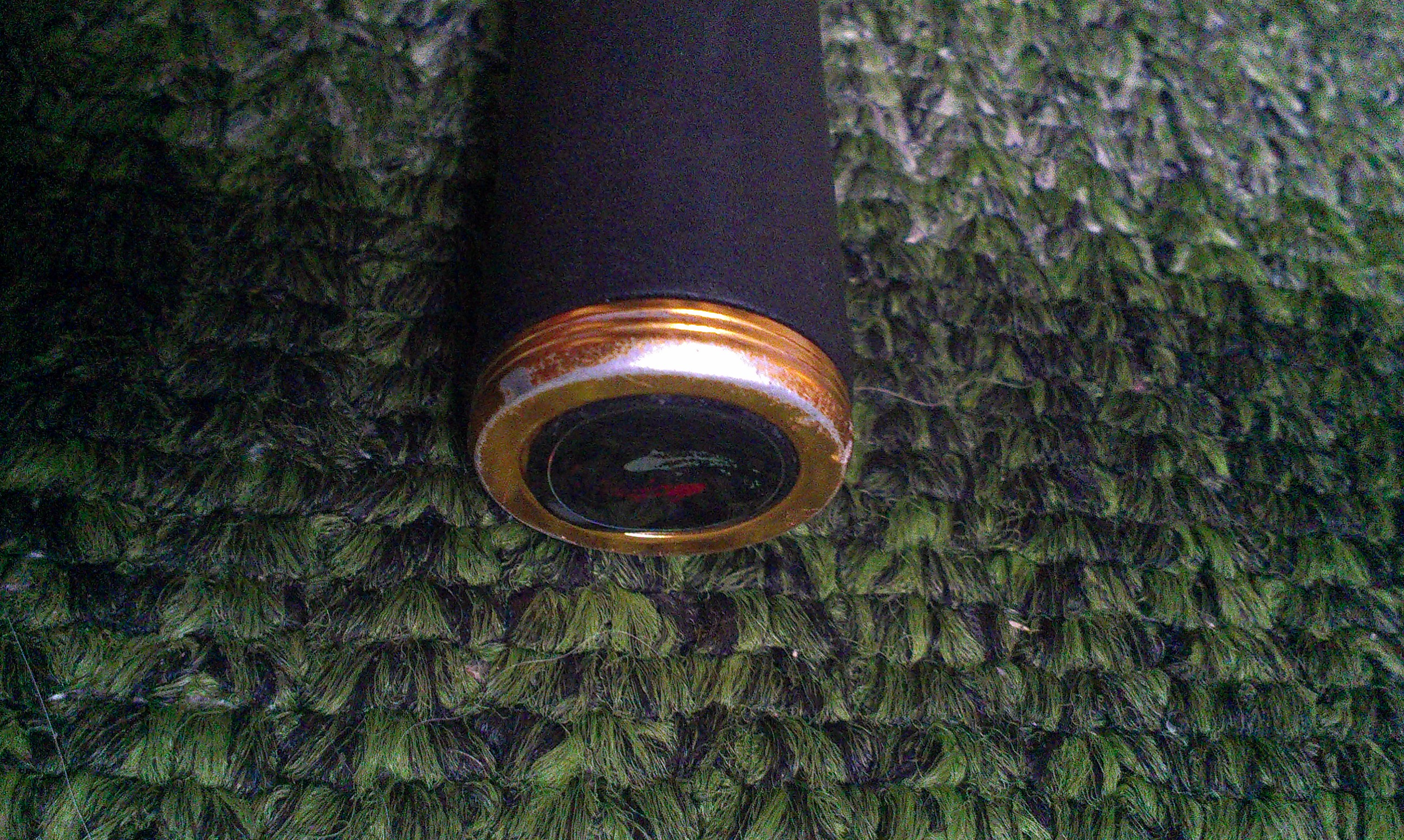 IMAG0002.jpg