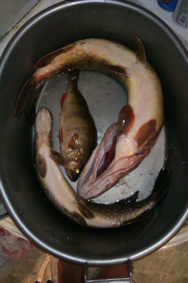 IMAG0349.jpg