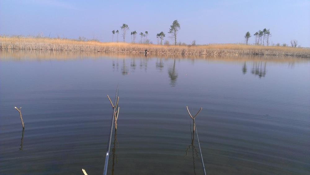 IMAG0355.jpg