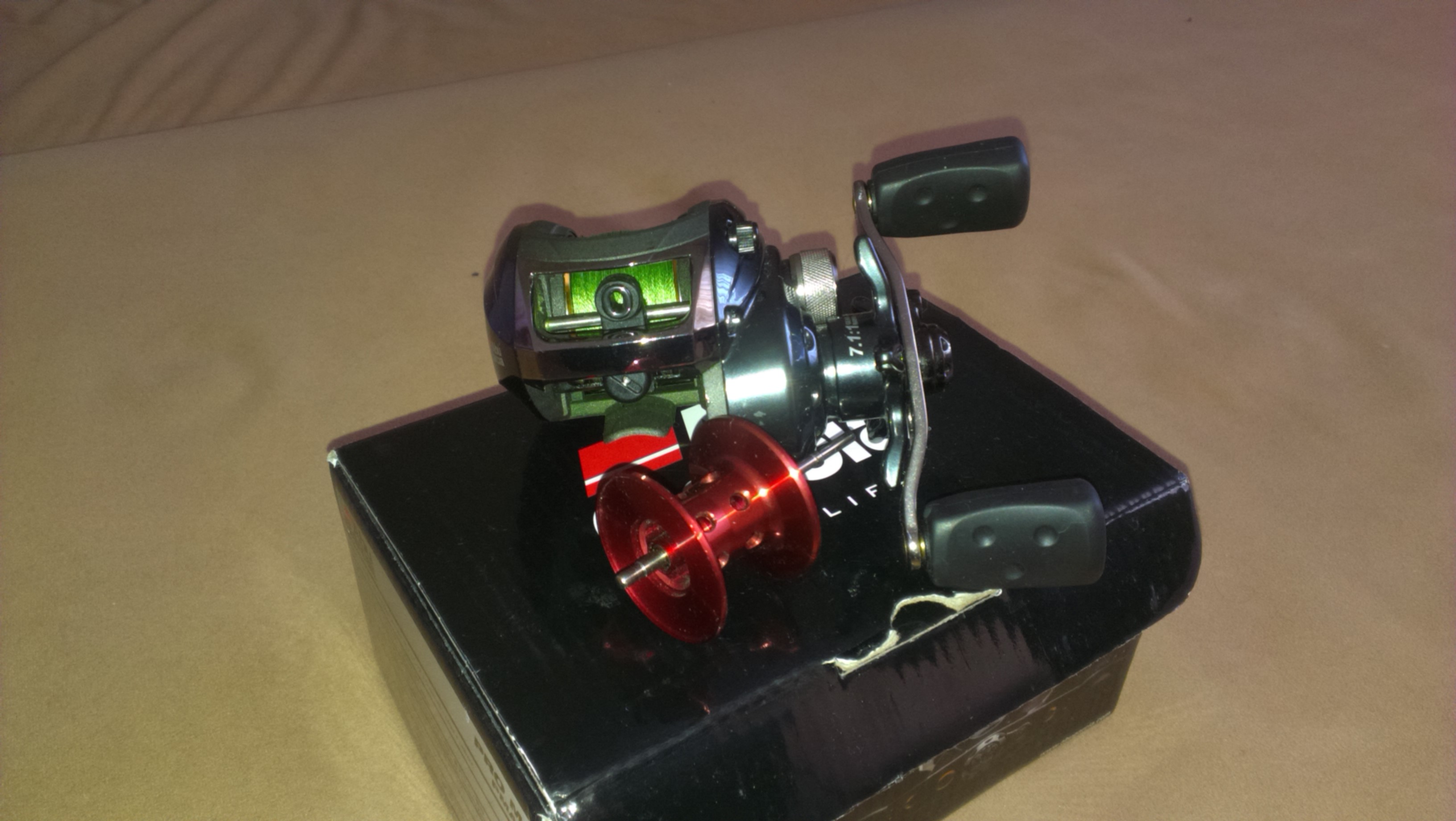 IMAG0517.jpg
