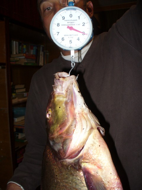 Image00001.jpg
