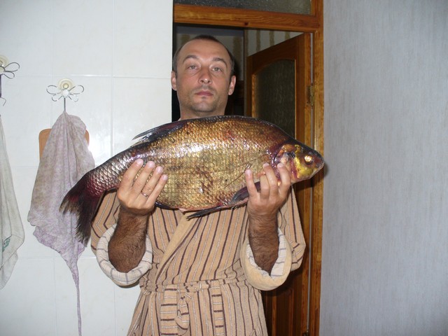 Image00003.jpg