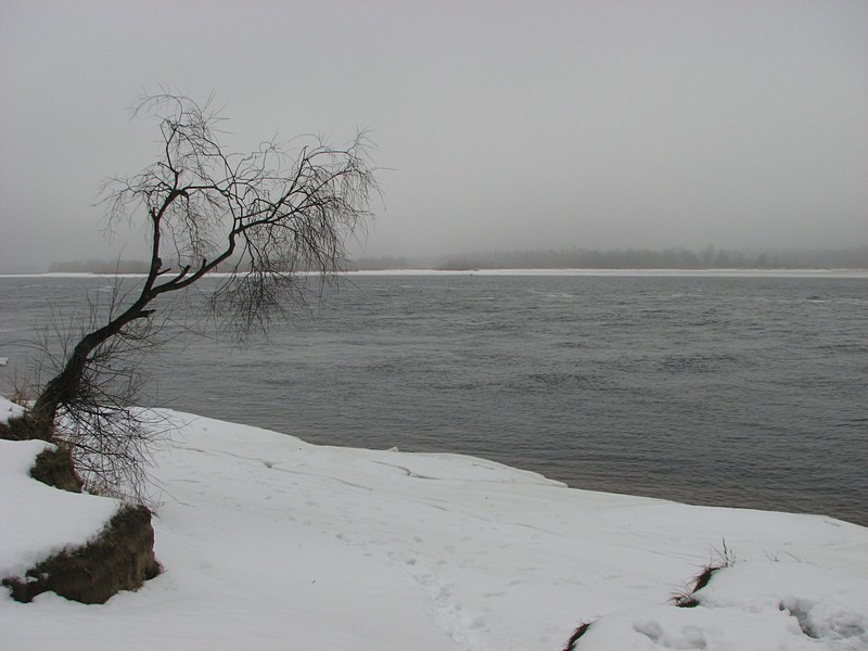 Image00004.jpg