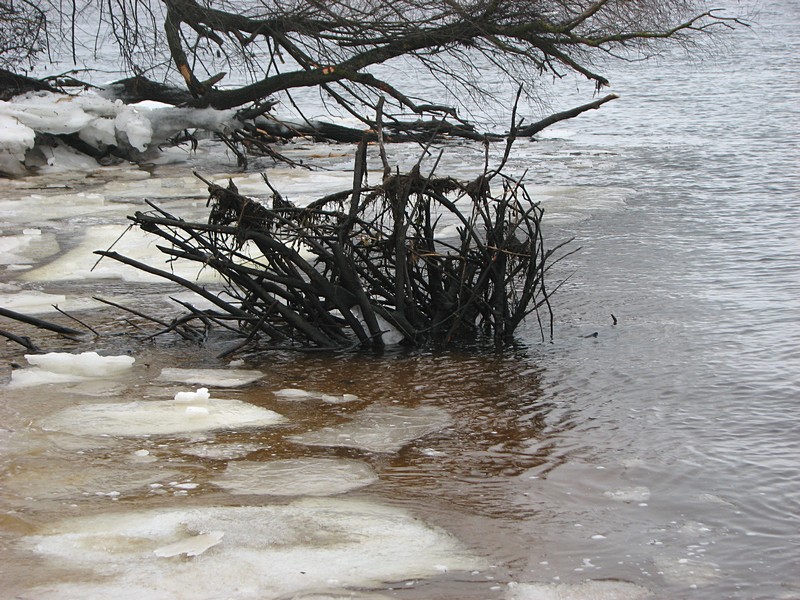 Image00015.jpg