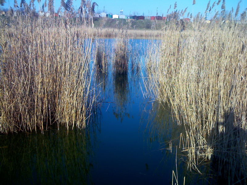 IMG004.jpg