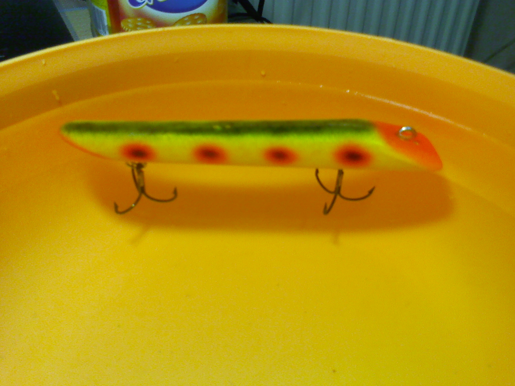 IMG00602.jpg