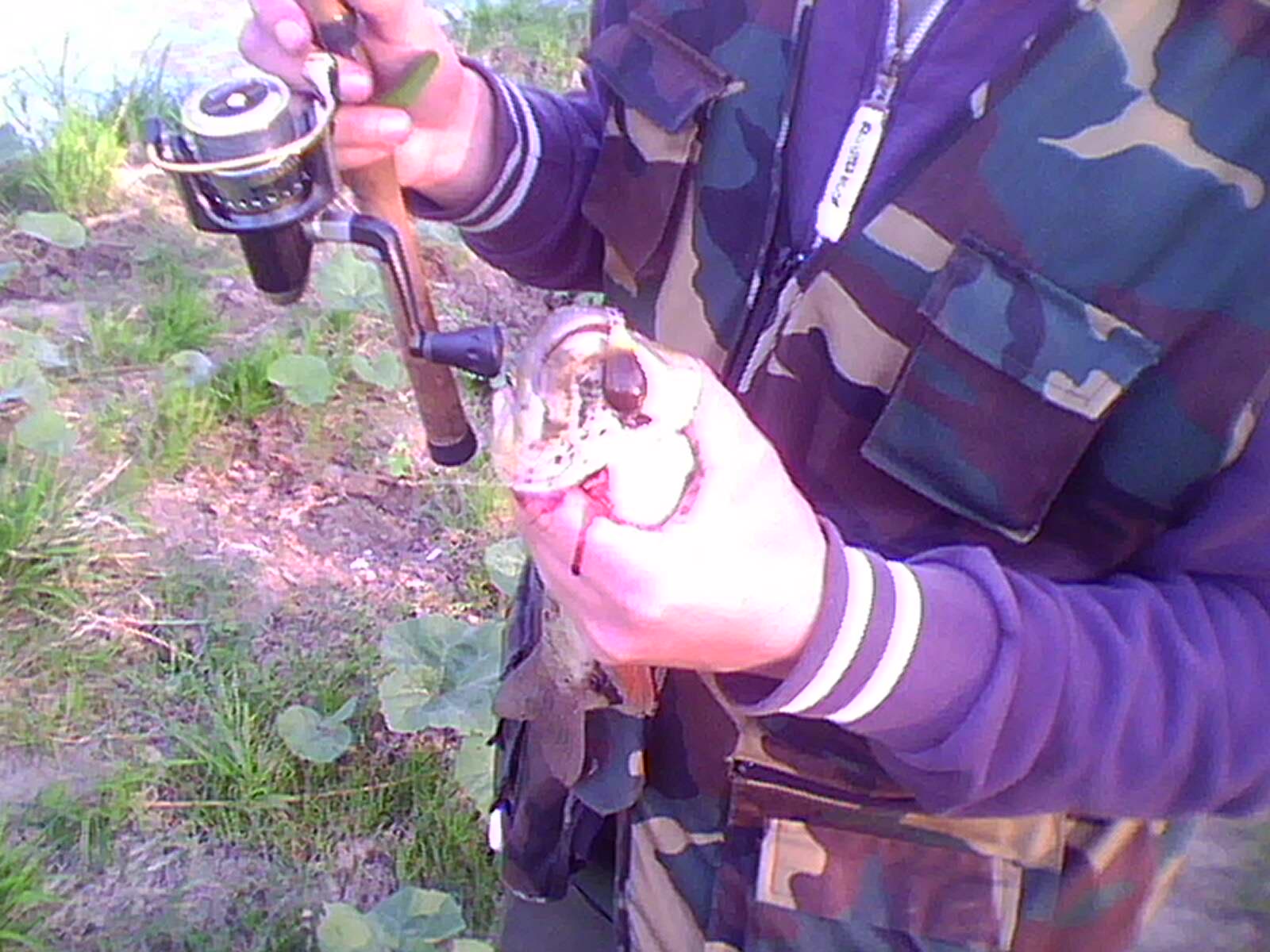 img0060a_968.jpg