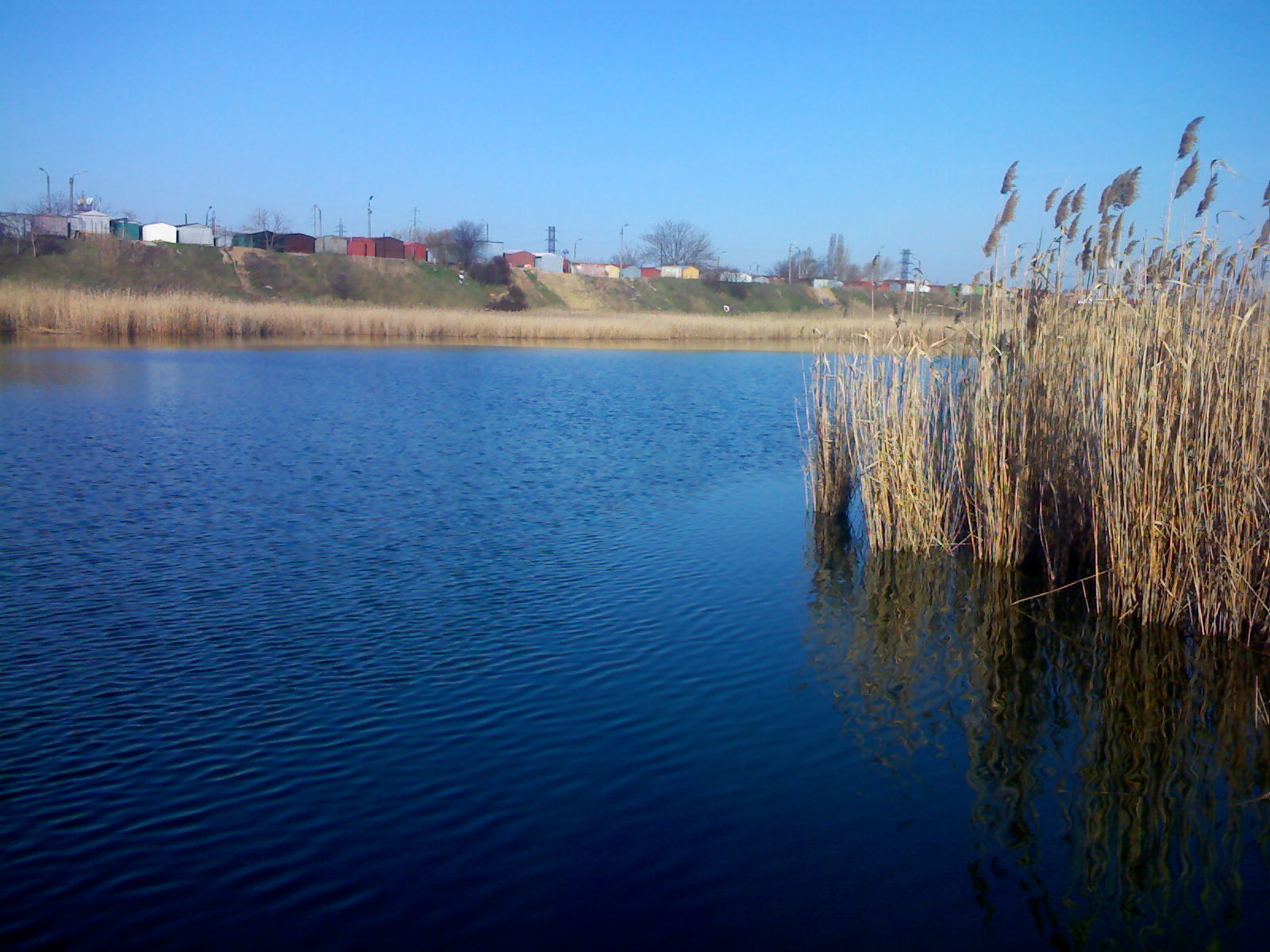 IMG008.jpg